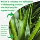 thumbnail image 2 of Gel de Aloe Vera Fusang Mini 16 uds 250 g Loción Hidratante, 2 of 7