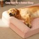 thumbnail image 2 of Cama ortopédica para perros BFPETHOME para perros grandes a prueba de agua, 2 of 6