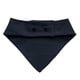 thumbnail image 2 of Traje Bandana Huasa Elegante para Perritas L, 2 of 3
