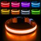 thumbnail image 1 of Collar para perro PcEoTllar L iluminado recargable naranja, 1 of 6