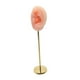 thumbnail image 3 of Moldes De Oreja De Silicona Soporte De Exhibición De Aretes Accesorios De Exhibición De Fotografía Escaparate Rosa Izquierda, 3 of 5