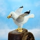 thumbnail image 4 of Marioneta de mano Folkmanis Gull, 4 of 5