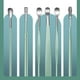 thumbnail image 3 of 6PCS Ear Cleanser Spoon Health Care Earpick Ear Cleaner Wax Removal Tool Earpick Sticks Earwax Remover Curette Ear Pick Cleaning, 3 of 3