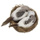 thumbnail image 4 of Pájaro Artificial Heno Nido Y Plumas Pájaros De Espuma Y Huevo De Aves Para La Decoración Del árbol Del Hogar, 4 of 5