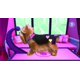 thumbnail image 2 of Videojuego Nintendo Wii Barbie Groom And Glam Pups, 2 of 6