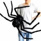 thumbnail image 3 of Araña Gigante Peluda Decoración Halloween 150cm Negra Negro, 3 of 4
