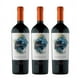 thumbnail image 1 of 3 Vinos Sideral, Ensamblaje 2021, 750 ml, 14.5%, 1 of 3