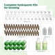 thumbnail image 2 of Kit de semillas y esponjas para cultivo Hydroponics, 172 unidades, LetPot, 2 of 7