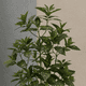 thumbnail image 4 of Planta Artificial Decorativa Tipo Arbusto 1.5m Con Macetero, 4 of 5