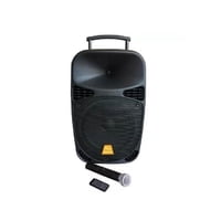 Baretone - Parlante Max12Mbu Con Micrófono 120W