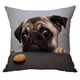 thumbnail image 1 of Funda de cojín con funda de almohada de patrón animal para sofá coche perro 45x45 cm, 1 of 5