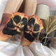 thumbnail image 5 of Regalos de elefante blanco para adultos, calcetines divertidos con forma de pata de animal, regalos de broma, calcetines navideños para hombres, mujeres, él y adolescentes., 5 of 7