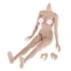 thumbnail image 2 of Figuras De Cuerpo Femenino Flexibles A Escala 1/6, Piel Normal De Juguete Para Busto Grande TTM18 TTM19, 2 of 3