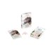 thumbnail image 4 of Alley Cat Washed Ashore – Juego de mesa de estrategia para 1‑6 jugadores, 4 of 9
