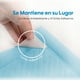 thumbnail image 2 of Protectores Desechables Premium ( Sabanillas ), 2 of 5