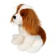 thumbnail image 2 of Peluche Douglas Kingsley cachorro Spaniel 23 cm marrón y blanco, 2 of 4
