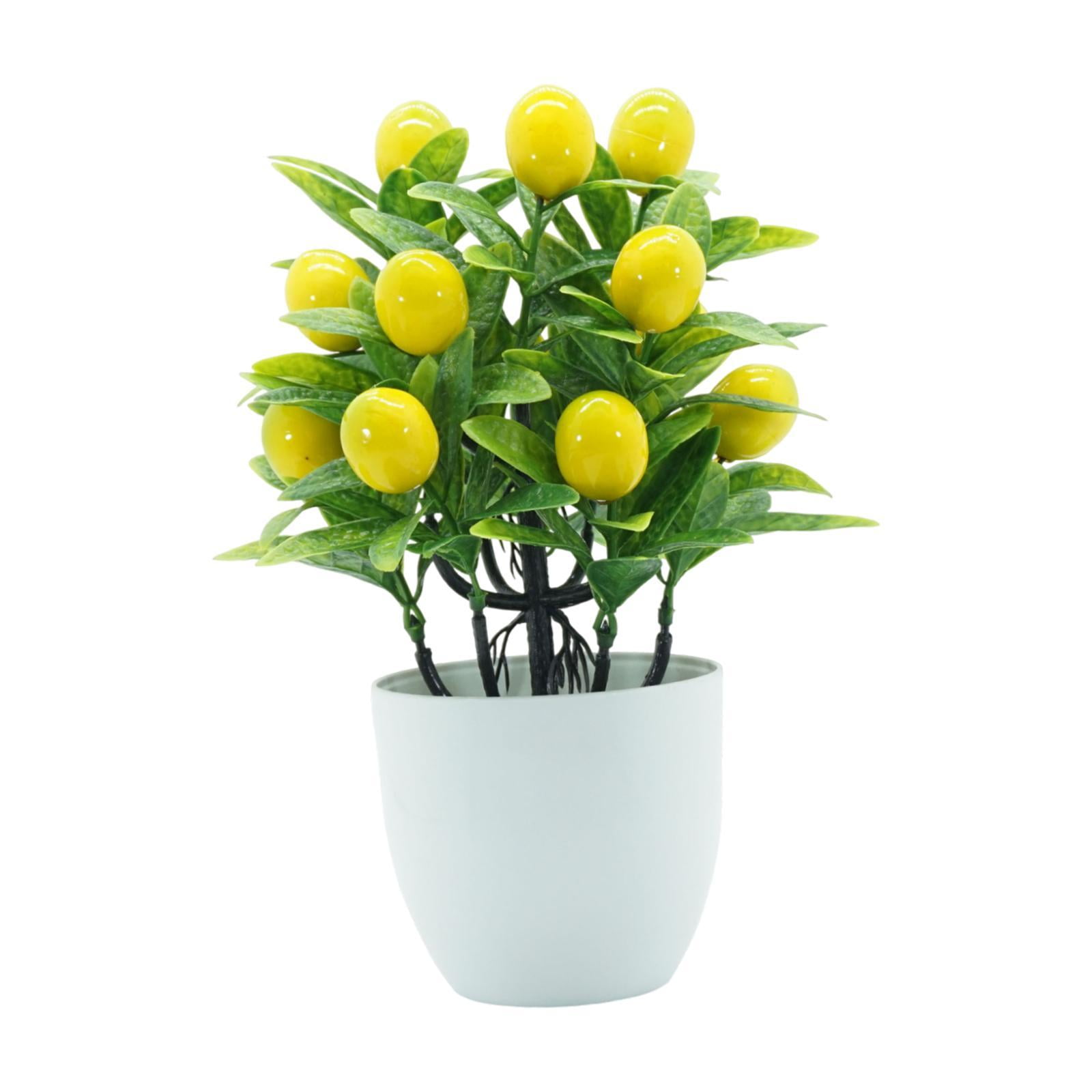 Bothyi - Mini Planta Artificial Decorativa De Fruta Falsa En Maceta Para Baño, Oficina, Mesa, Limón