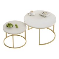 Genérico - Set 2 Piezas Mesa Centro Auxiliar Moderna Minimalista Jhn