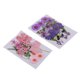 thumbnail image 3 of 2pcs Múltiples Flores Secas Prensadas Naturales Hojas DIY Art Craft Decorations, 3 of 5