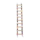 thumbnail image 5 of Escalera De Madera, Jaula Para Pájaros, Soporte De Madera, Juguete Masticable Para Loros Para Canarios, Suministros Para Mascotas, Diez Nudos, 5 of 5