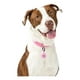 thumbnail image 2 of Street Dogs Placa Identificación Inteligente Colgante Perros rosa, 2 of 8