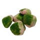 thumbnail image 3 of 5 Piezas De Rocas Falsas Para Dioramas, Rocas Artificiales Para Arreglos Florales De Patio, Jardín De Hadas D, 3 of 5