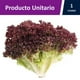 thumbnail image 2 of Lechuga Lollo Rosa Hidropónica Bolsa, 1 Un, 2 of 2