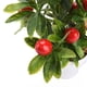 thumbnail image 4 of Bonsái pequeño de fruta de simulación (limón), 4 of 8