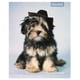 thumbnail image 5 of Cuaderno Universitario Animales Adorables 7mm 100 Hojas / Producto surtido, 1 Un, 5 of 12
