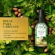 thumbnail image 5 of Mezcla Capilar Herbal Essences De Aceite Bio:Renew Argan y Aloe Para El Cabello, 5 of 5