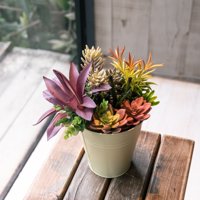 Vadell Home - Suculentas 30 Cm, Con Macetero