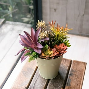 Vadell Home - Suculentas 30 Cm, Con Macetero