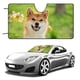 thumbnail image 1 of Shiba Inu Parasol para Parabrisas Delantero Protector Plegable, Visera Solar para Auto Bloquea Rayos UV Mantiene tu Vehículo Fresco 130cm*70cm, 1 of 6