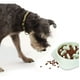 thumbnail image 2 of Plato Alimentación Lenta, Anti Estrés Para Perro Y Gato verde, 2 of 5