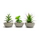 thumbnail image 1 of Planta Artificial Suculenta Con Macetero De Cemento, 1 of 6