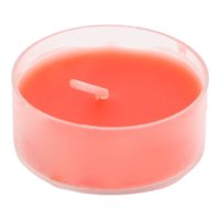 Homewell - Cactus Artificial 5*8Cm