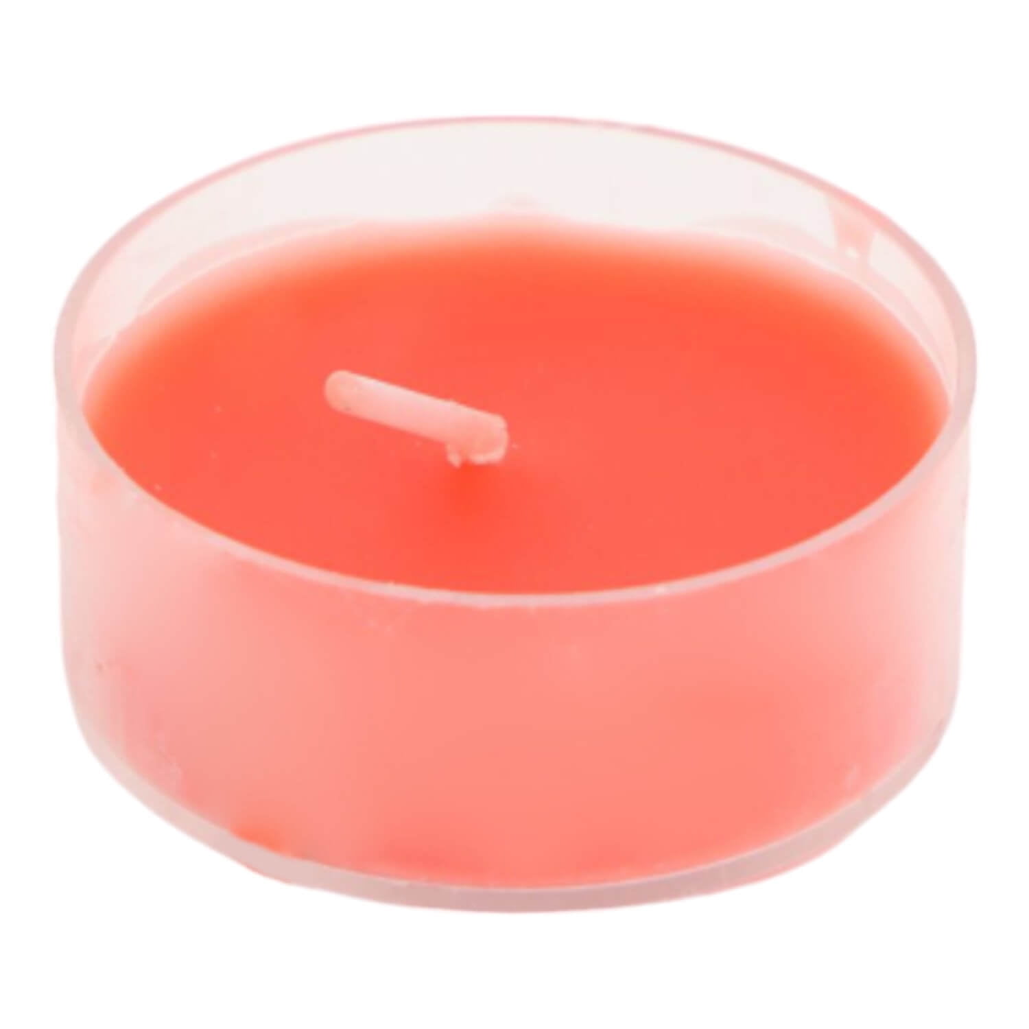 Homewell - Cactus Artificial 5*8cm