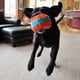 thumbnail image 2 of Rollo para perros Chuckit Indoor Fetch Roller, 19 cm, naranja y azul, 2 of 5