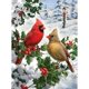 thumbnail image 2 of Rompecabezas Jigsaw Bits and Pieces Cardinal Couple 500 piezas 46 x 61 cm, 2 of 9