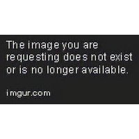 Genérico - Palillos De Madera 250Pcs