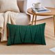 thumbnail image 5 of REGALWOVEN Fundas de Cojín de Terciopelo Juego de 2 para Decoración de Sala de Estar Sofá Verde Oscuro 20" x 20", 5 of 7