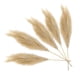 thumbnail image 5 of Decoración de ramas de hierba artificial , 5 tallos, 27 pulgadas, simulación de flores secas, decoración de habitación, ramo para jarrón, boda, d , marrón claro, 5 of 5