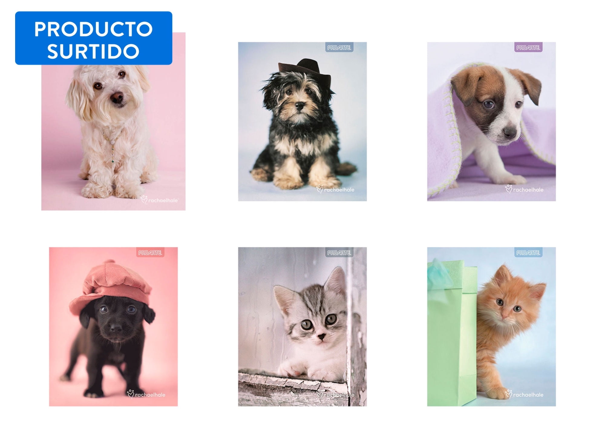 Cuaderno Universitario Animales Adorables 7mm 100 Hojas / Producto Surtido 1 Un Proarte