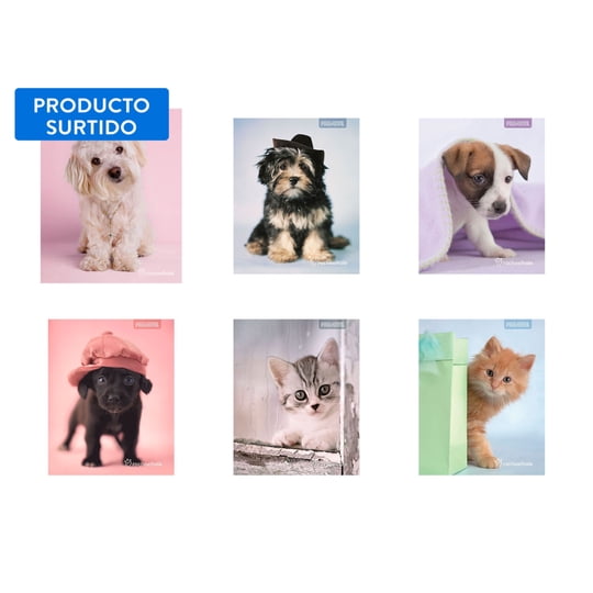Cuaderno Universitario Animales Adorables 7mm 100 Hojas / Producto Surtido 1 Un Proarte