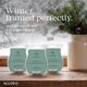 thumbnail image 2 of Cápsulas de Cera Iced Balsam de Scentsy 235 g (Pack de 3), 2 of 4