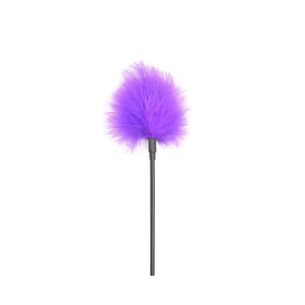 Flirting Feather Stick, Feather Tickler, Couple BDSM Sex Toys