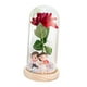 thumbnail image 2 of Regalos De Flores De Rosas Decoración Romántica De San Valentín Rosa Iluminada En Cúpula De Vidrio Base De Madera Pareja, 2 of 3