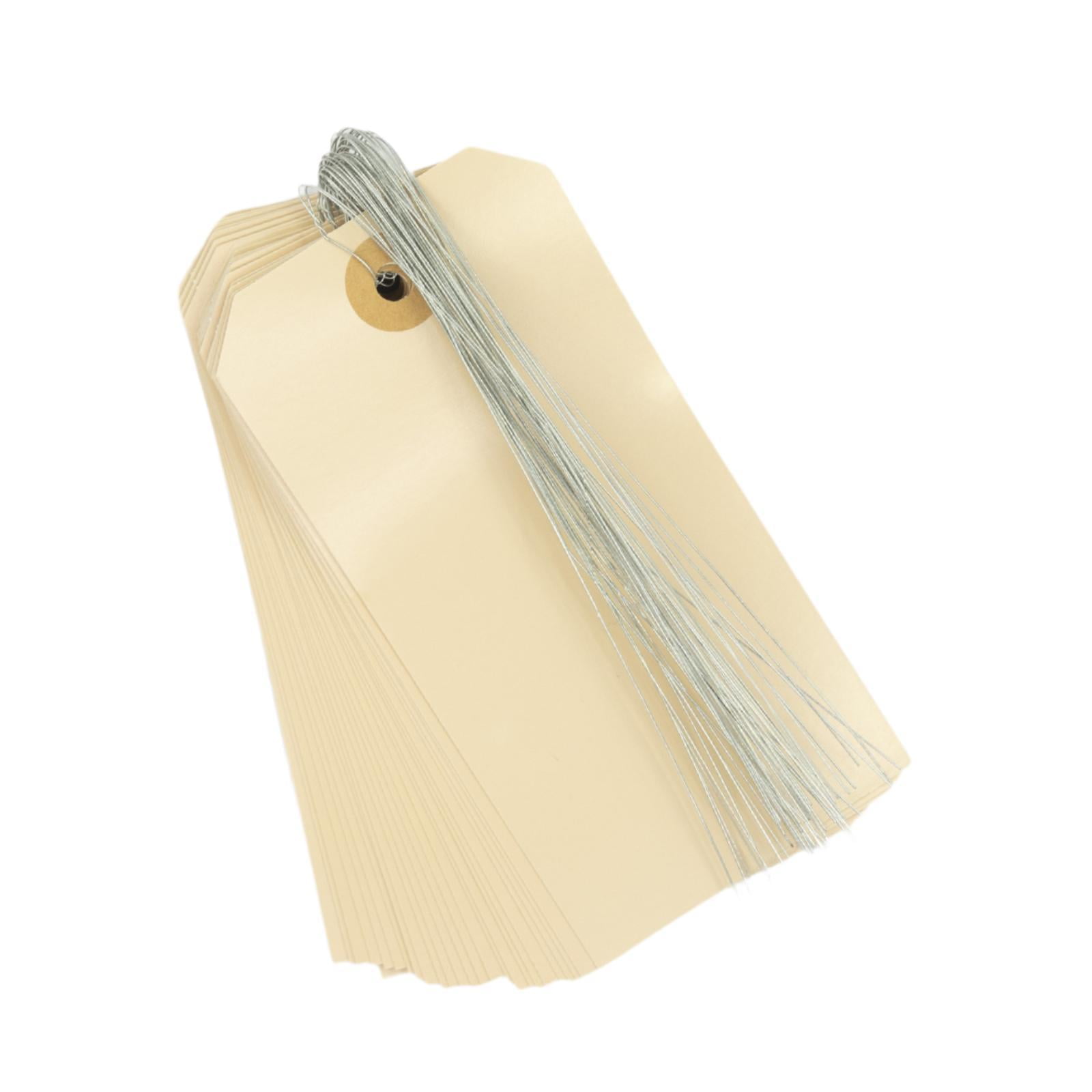 Magideal - Etiquetas De Papel De 100 Piezas Muestra Etiquetas De Regalo Con Cadena Rectangle Rectange Etiquetas De Precio De La Pintura Para La Fiesta Diy Hand