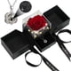 thumbnail image 1 of Collar Rosa Preservada woxafo Te Amo en 100 Idiomas, 1 of 6