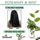 thumbnail image 3 of Mascara Capilar Difeel Romero Menta Biotina 354ml Fortalecedora, 3 of 3